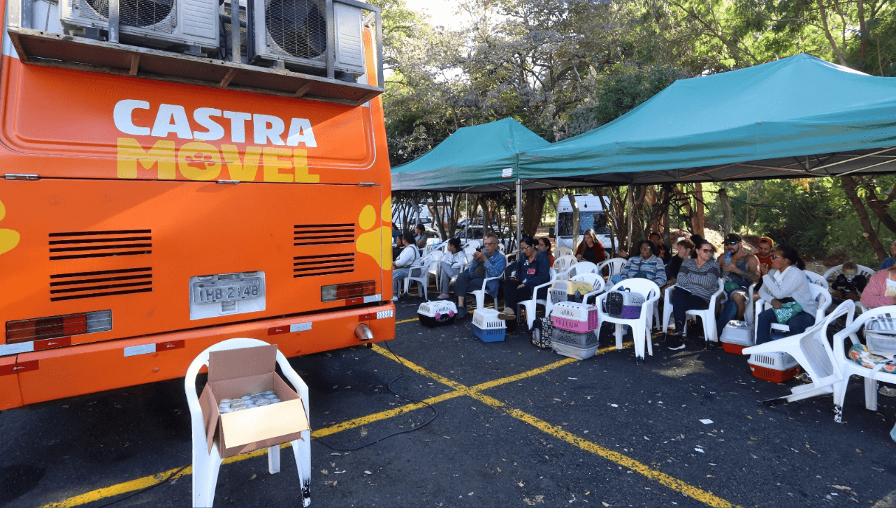 Campinas realiza agendamento para castração gratuita em duas regiões simultaneamente
