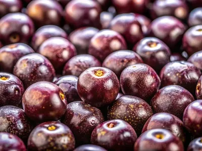 Tarifaço dos EUA preocupa produtores de açaí do Pará