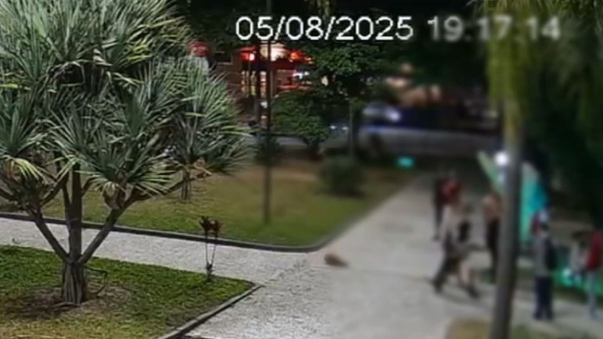 Novas imagens mostram jovem sendo espancado por grupo de punks em São Caetano, na Grande SP