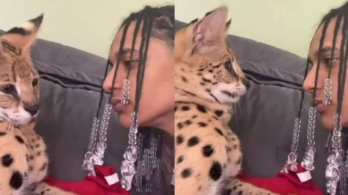 Oruam com seu gato da raça Savannah Foto: Reprodução/ Instagram @oruam