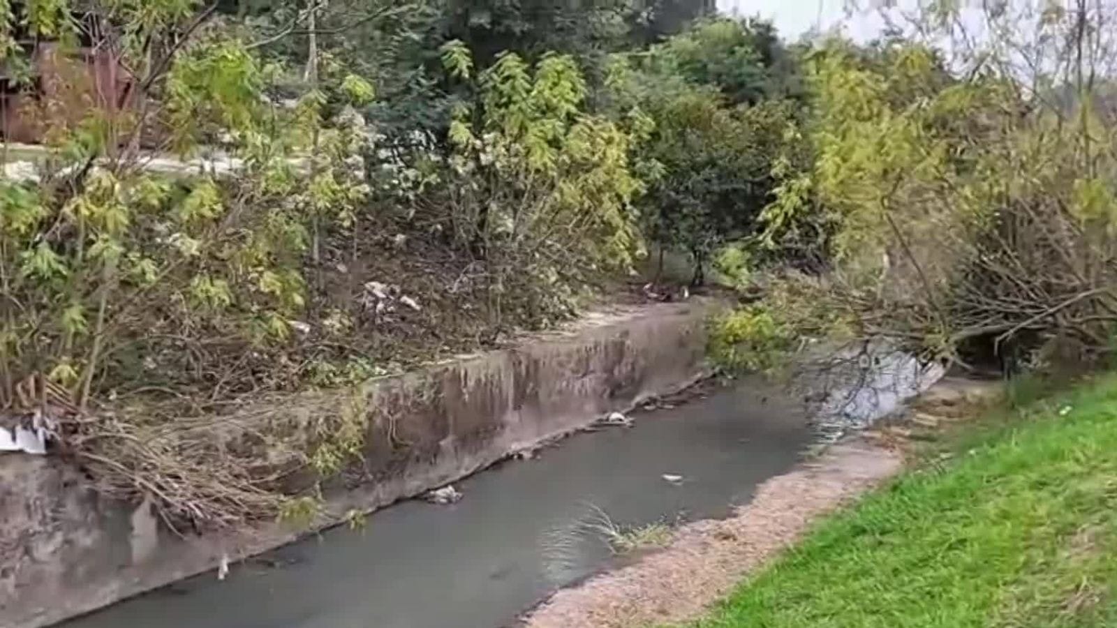 Casal é sequestrado, grávida é agredida e jogada em córrego na grande São Paulo