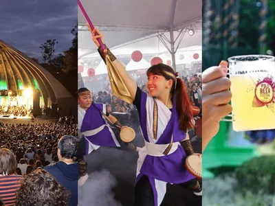Agenda Cultural: Orquestra Sinfônica, Mostra Japão e Polo Beer Festival são os destaques
