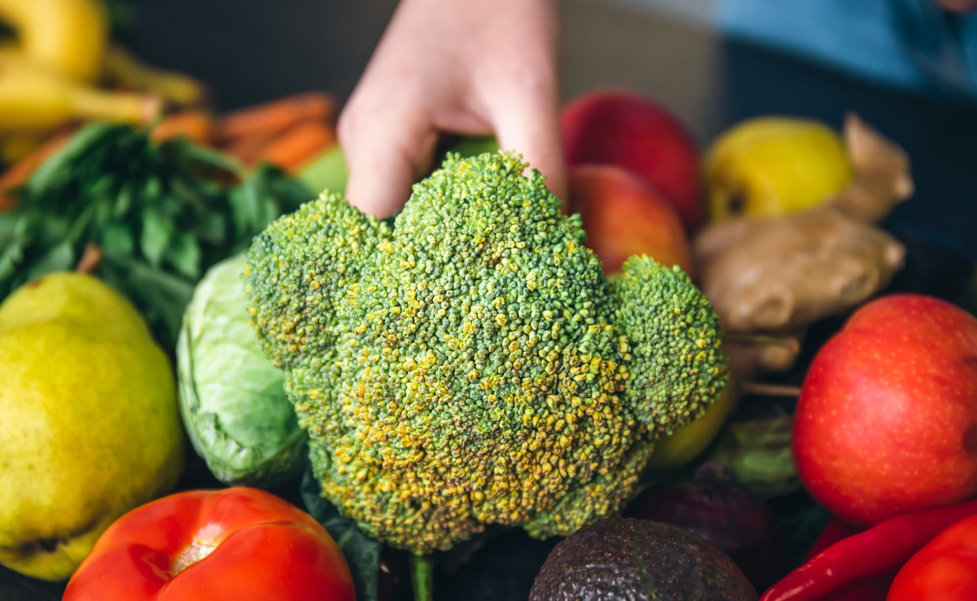 Botulismo, salmonela e mais: 5 doenças que podem ser contraídas por alimentos contaminados