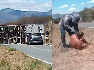 Abelhas atacaram Legendários, mataram idoso e fizeram caminhão tombar em 48 horas