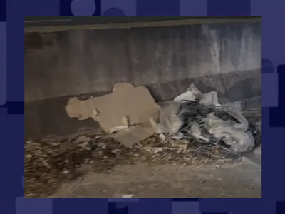 Canteiros da Rodovia Raposo Tavares acumulam lixo e causam preocupação