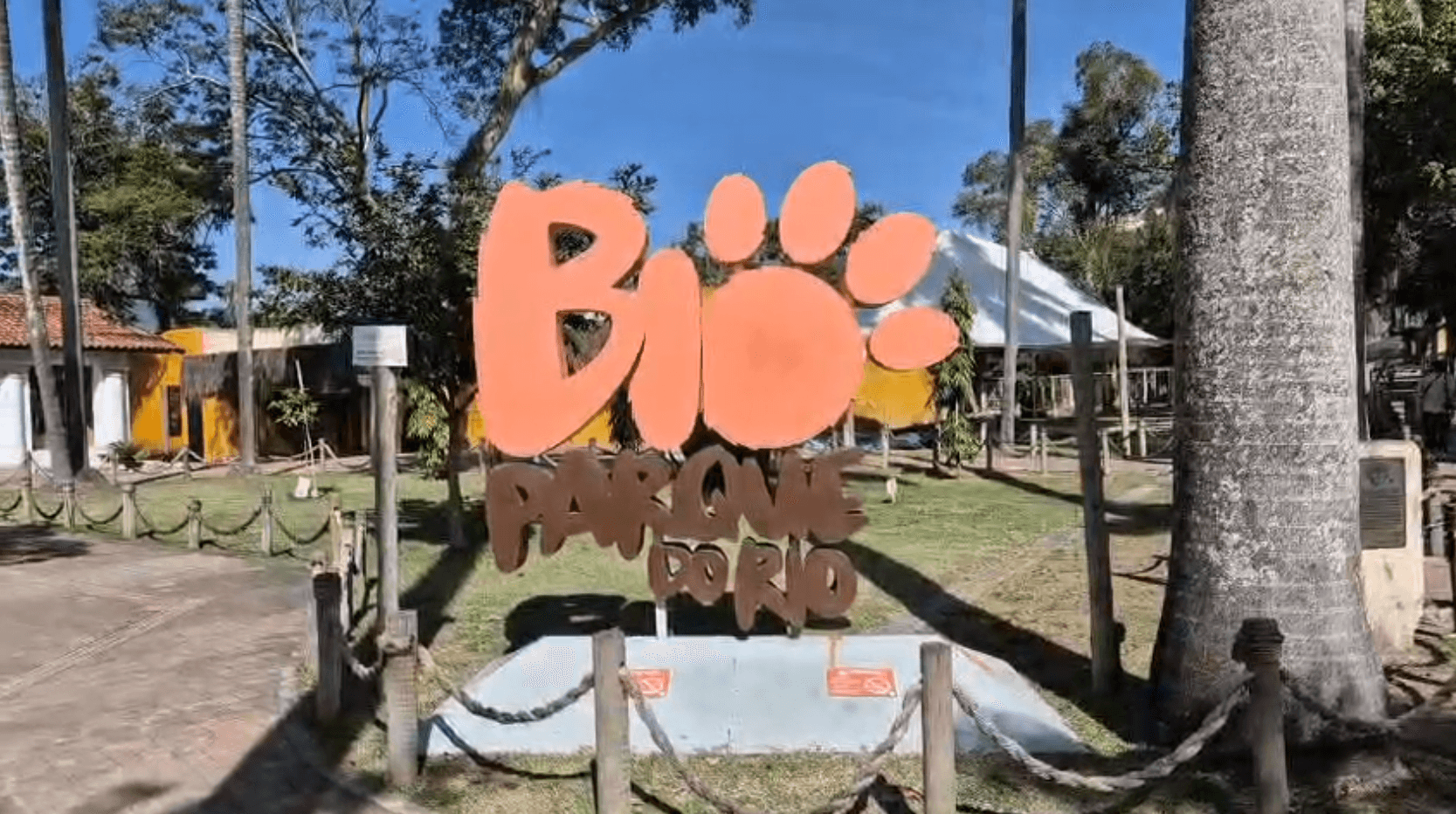 BioParque reabre após 20 dias fechado por mortes de aves com gripe aviária