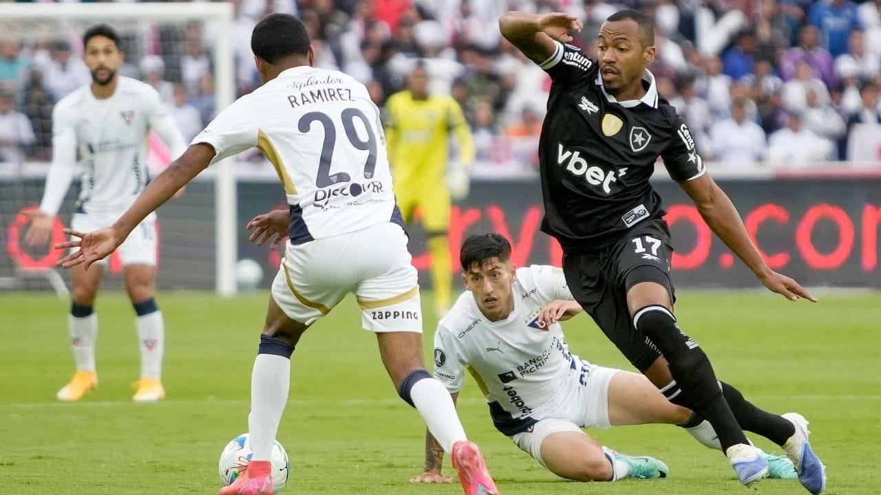 Bate Papo Esportivo: Botafogo perde de 2 a 0 para a LDU e é eliminado ...