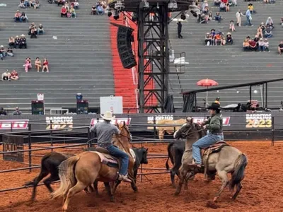 Recorde mundial no Ranch Sorting marca classificatória da 70ª Festa do Peão de Barretos