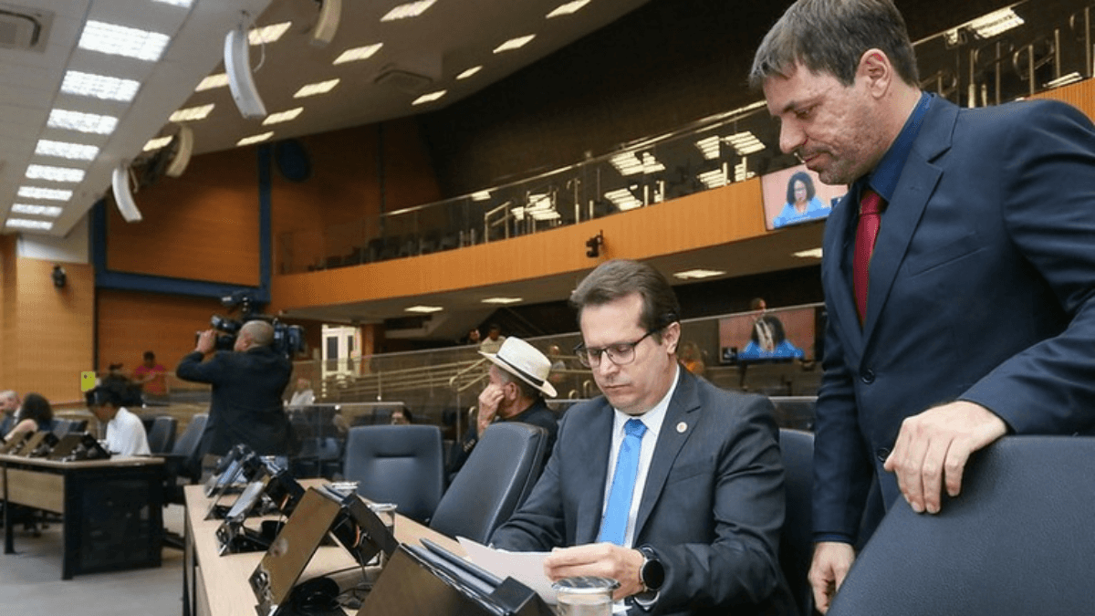 Câmara vota proibição de coleiras antilatido e ampliação do funcionamento de farmácias públicas