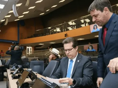 Câmara vota proibição de coleiras antilatido e ampliação do funcionamento de farmácias públicas