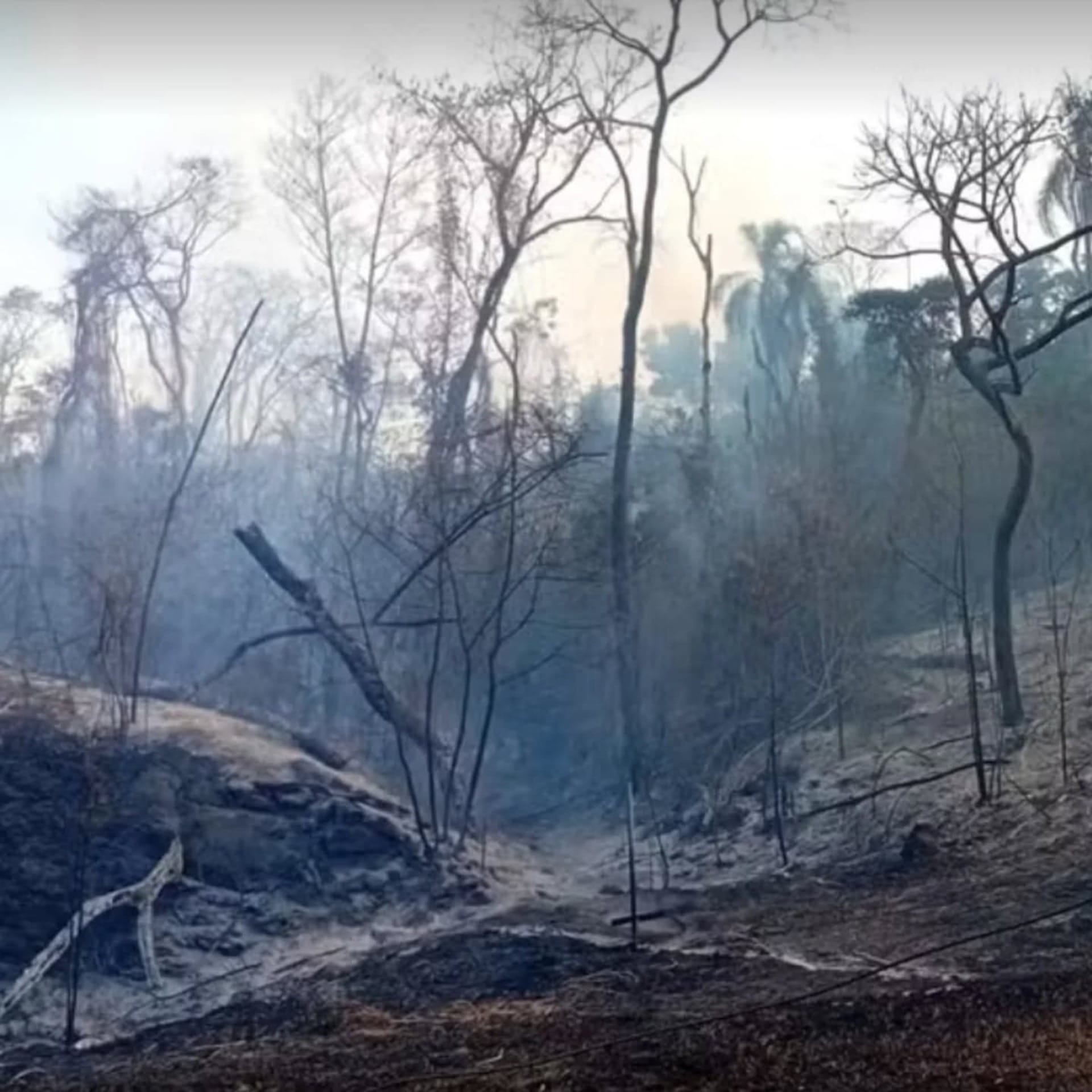 Incêndio em Valinhos que atingiu a marginal da Rodovia Von Zuben
