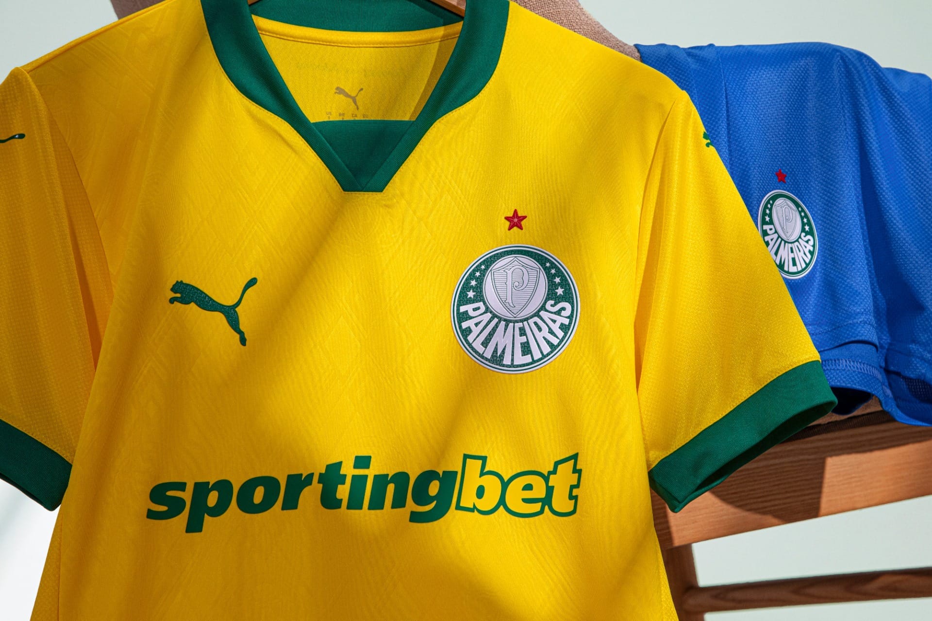 Palmeiras lança nova camisa 3 para 2025; veja as fotos