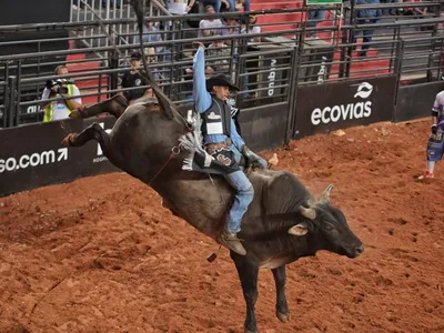 Montarias em touros pela LNR começam na 70ª Festa do Peão de Barretos