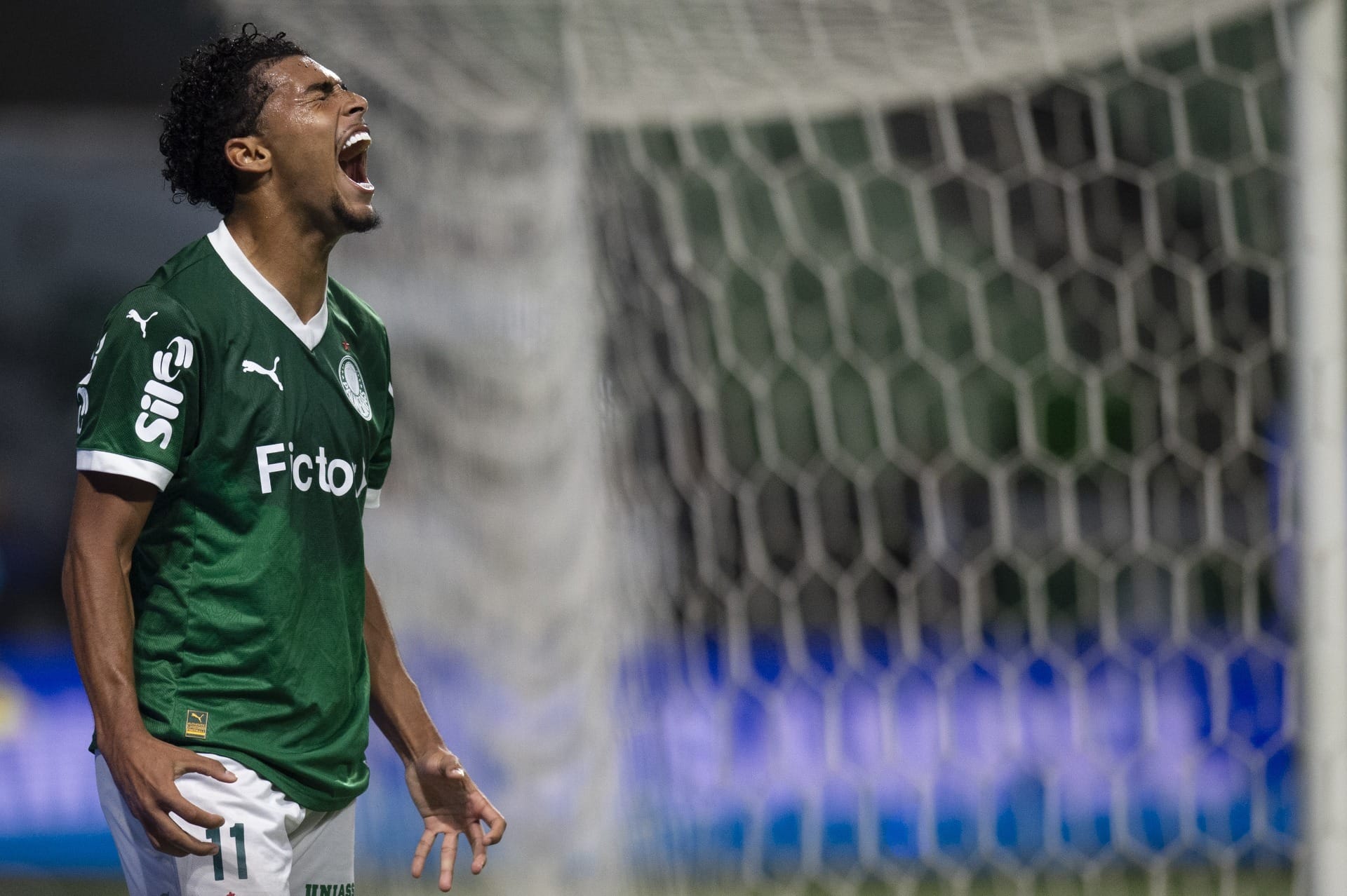 Palmeiras supera RB Bragantino nos pênaltis e é campeão brasileiro sub-20 no aniversário