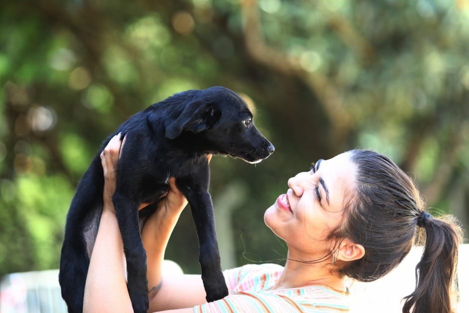 Prefeitura de São José dos Campos realiza feira de adoção e vacinação de pets no sábado (30)