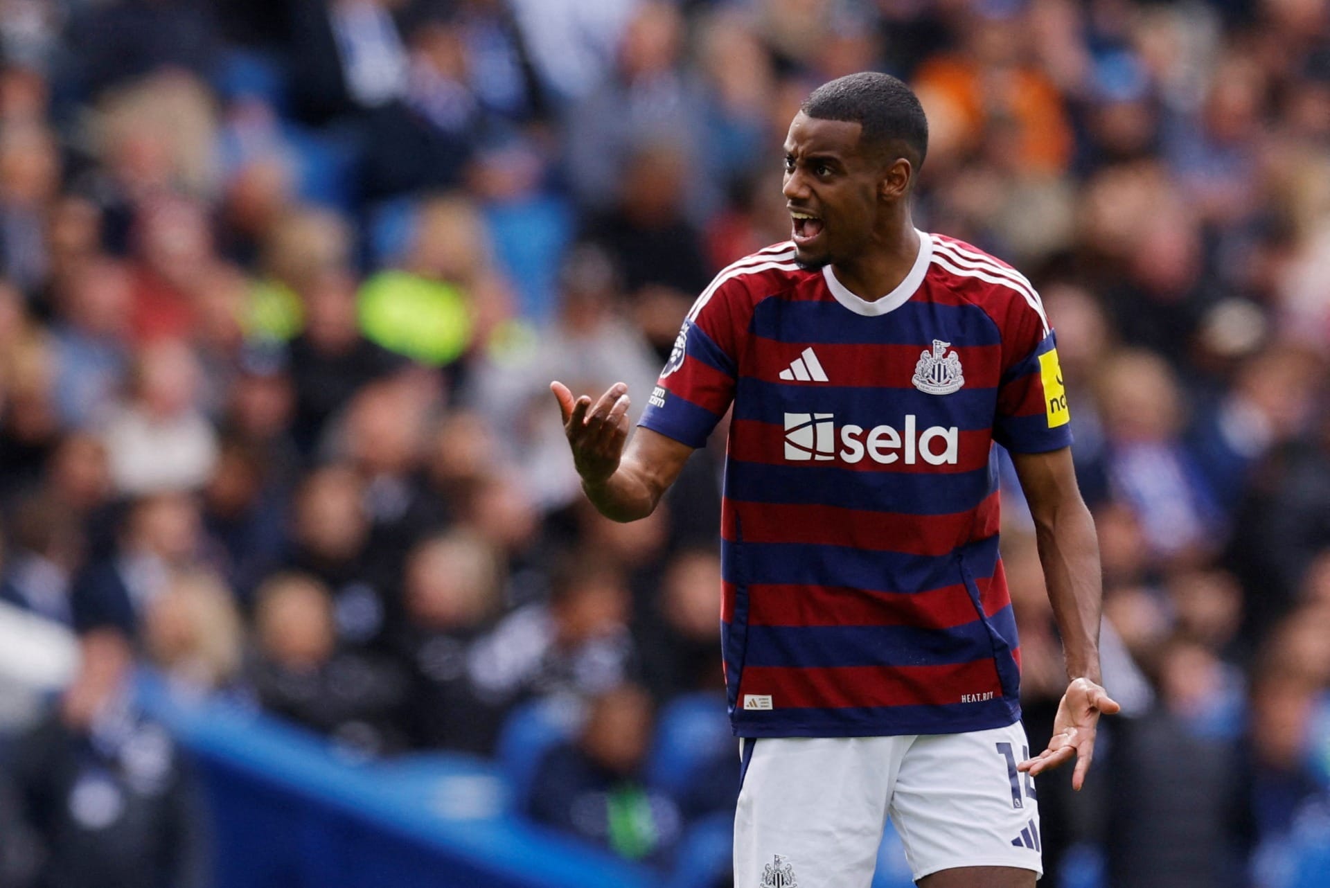 Liverpool contrata Isak na maior compra da história da Premier League, diz jornalista