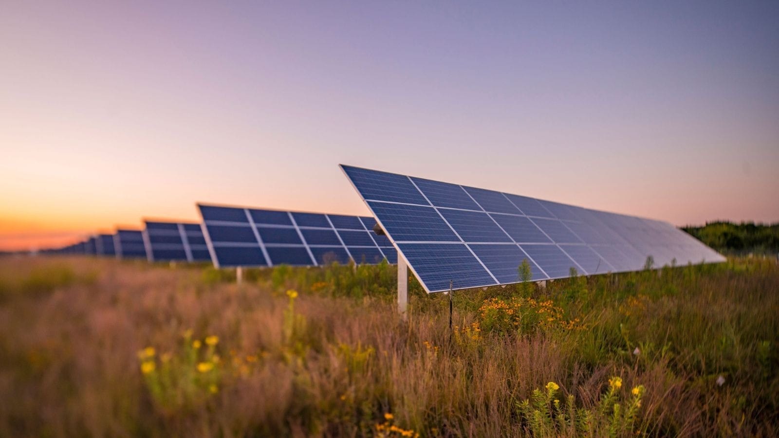 China se prepara para construir o maior parque solar do mundo, rumo à neutralidade de carbono