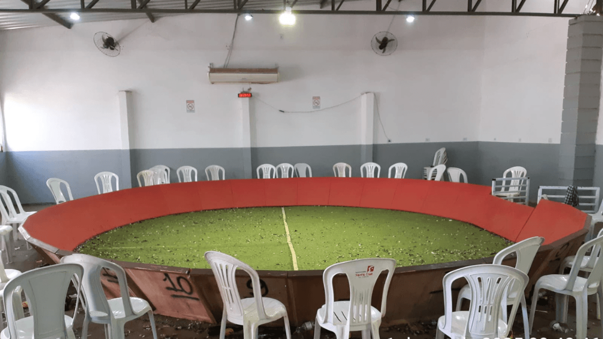 Suspeito de promover rinha de galos em Cosmópolis é multado em R$ 159 mil e depois liberado