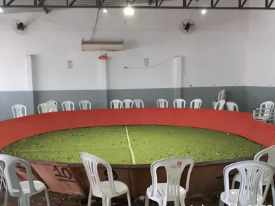 Suspeito de promover rinha de galos em Cosmópolis é multado em R$ 159 mil e depois liberado