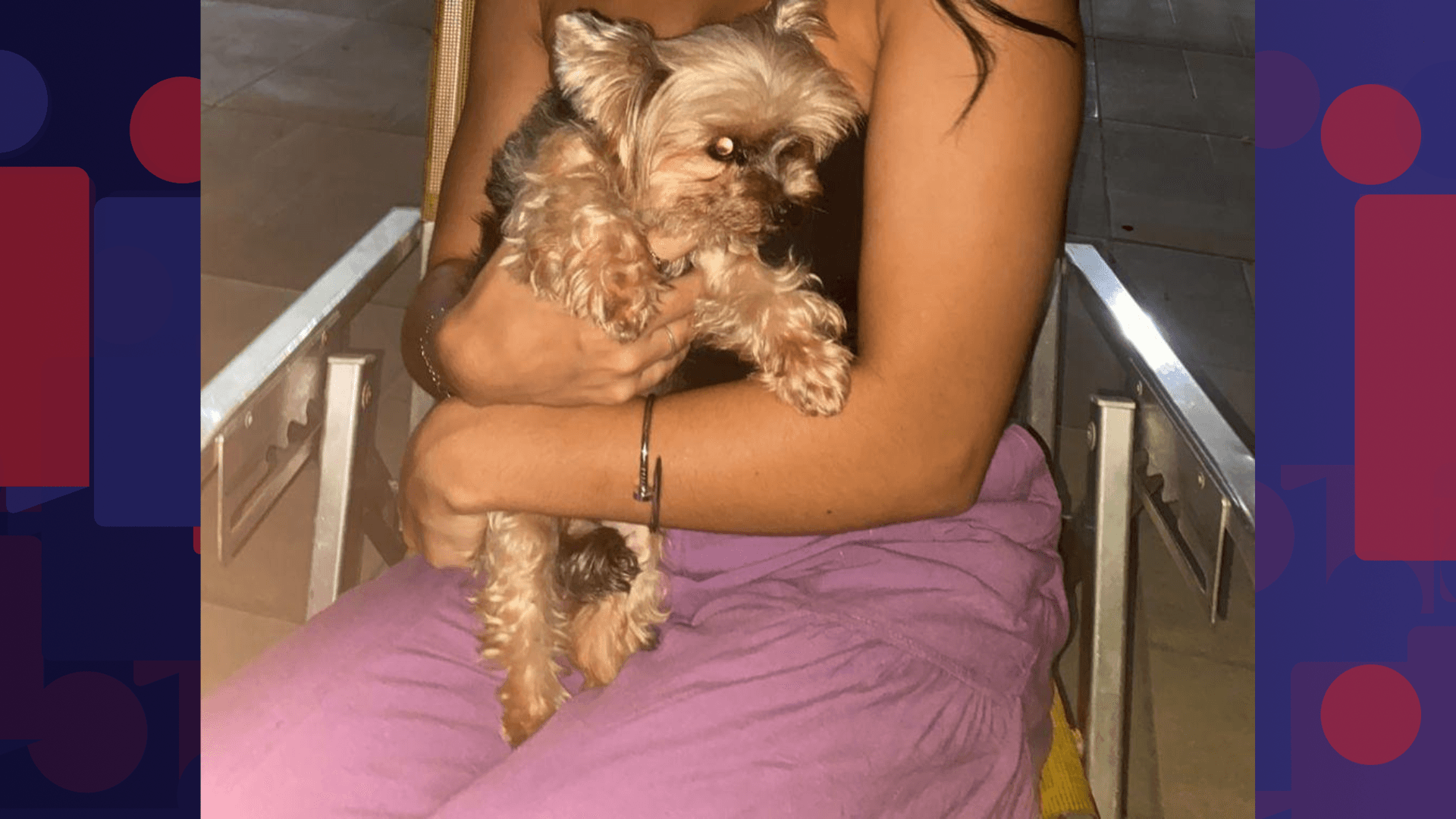 Cachorro morre após ser pisoteado em confusão durante festa de aniversário em Nilópolis