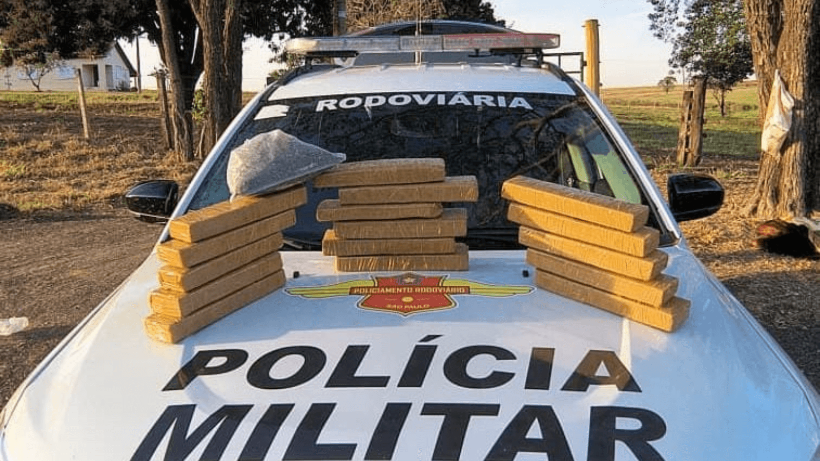 Mulher é presa transportando 17 pacotes de drogas dentro de um ônibus