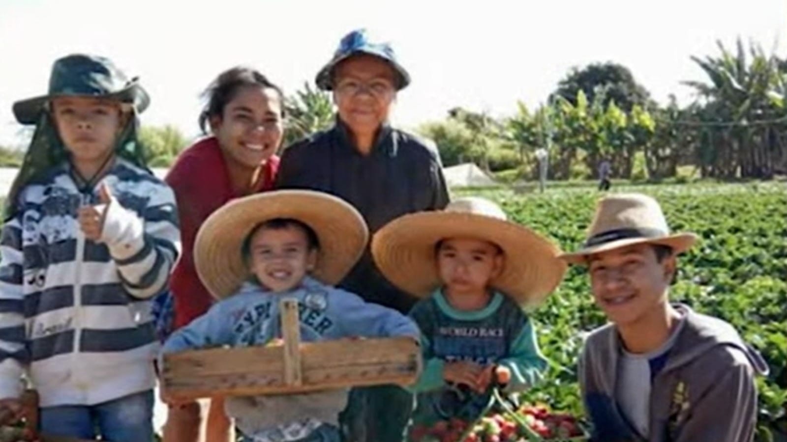 Produtores rurais celebram safra com a Festa do Morango de Brazlândia (DF)