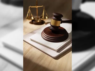 Advogadas são multadas em R$ 84 mil por sabotar I.A no Pará