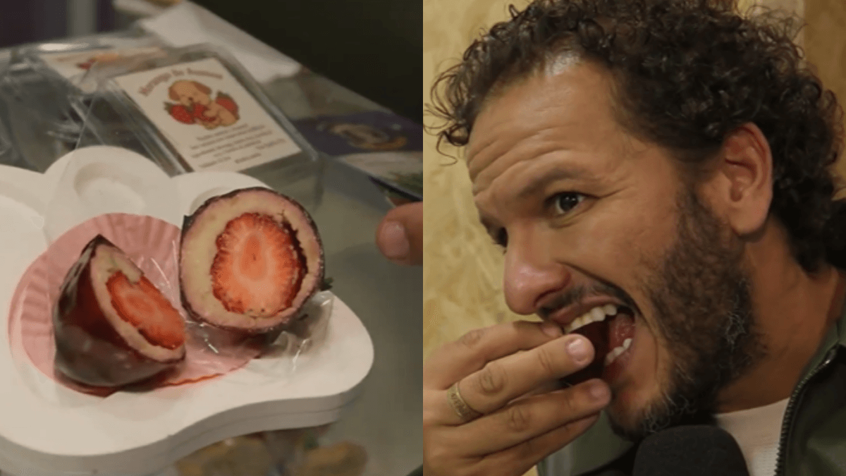 Morango do amor para cães: jornalista prova doce para pets e se surpreende com sabor