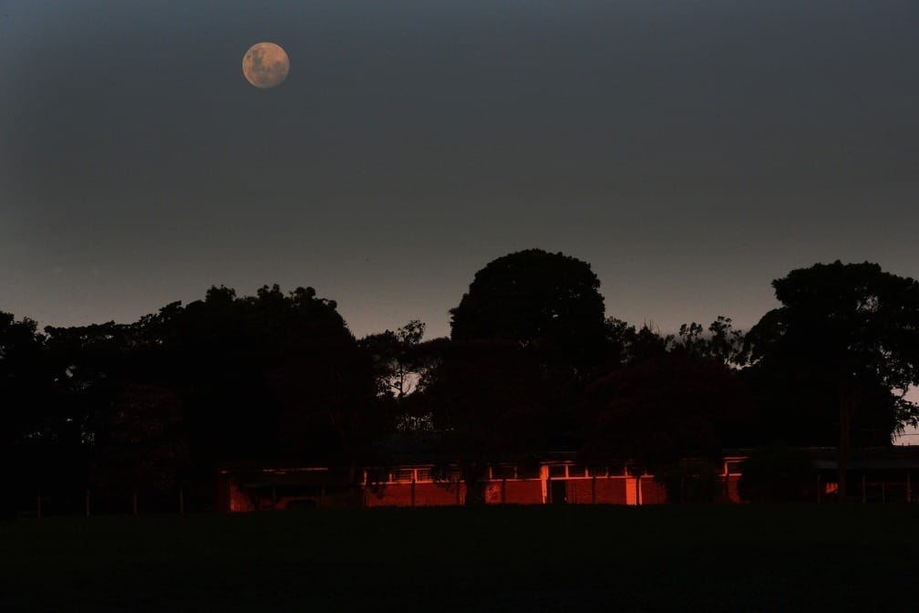 Mata, escuridão e lobisomem: passeio noturno gratuito em Campinas abre inscrições