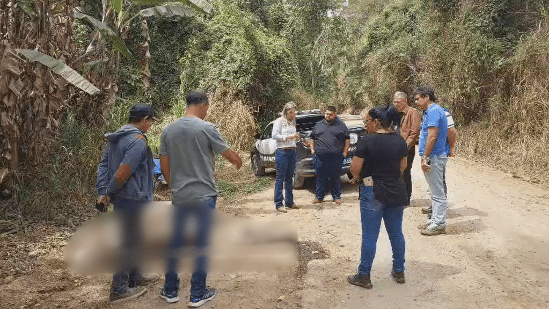 Polícia Civil tenta identificar envolvidos na morte de cavalo no Sul Fluminense