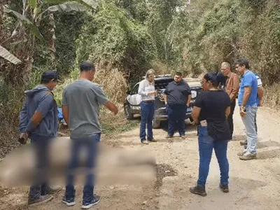 Polícia Civil tenta identificar envolvidos na morte de cavalo no Sul Fluminense