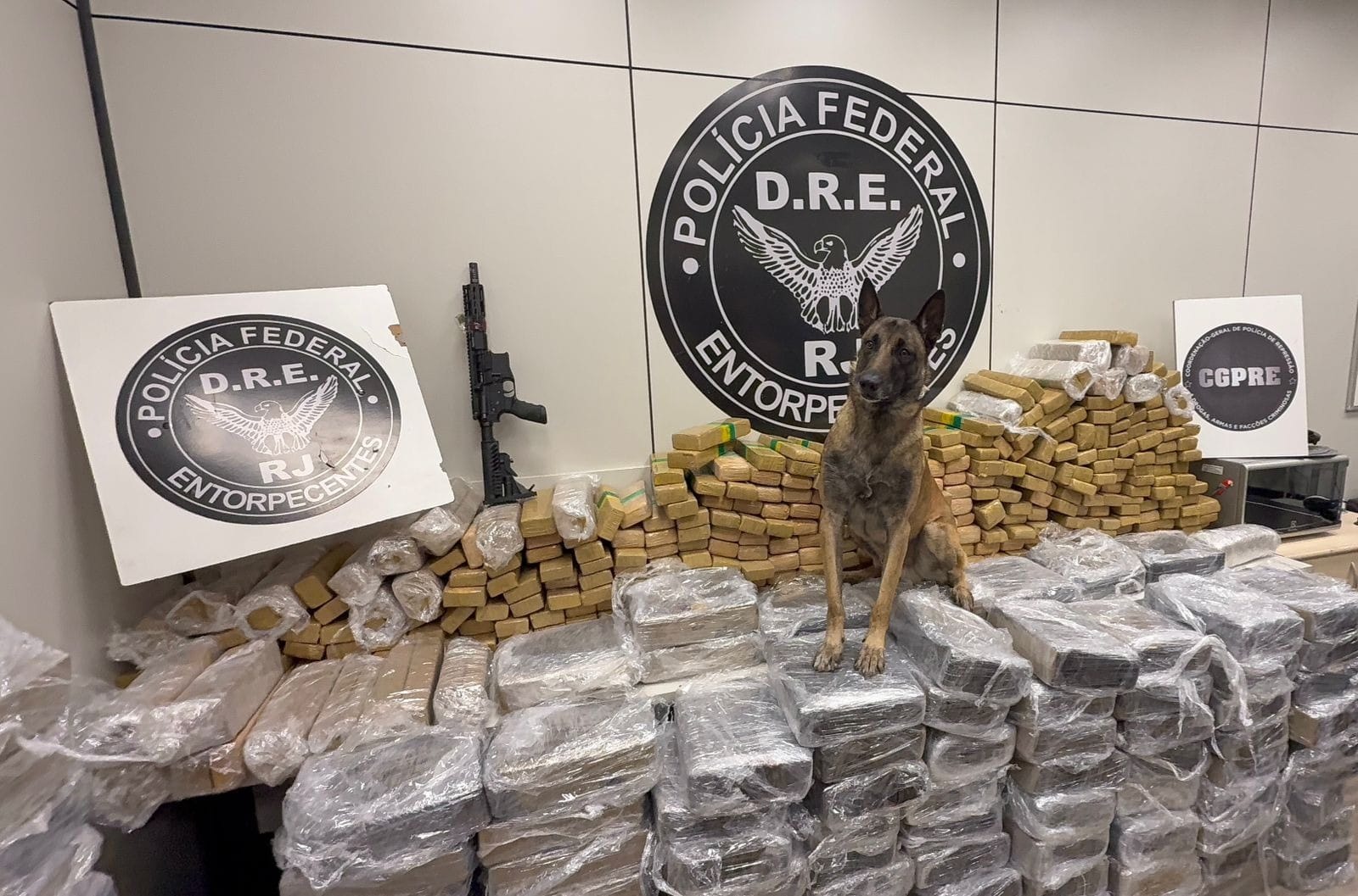 Polícia Federal apreende uma tonelada de maconha e fuzil na Dutra