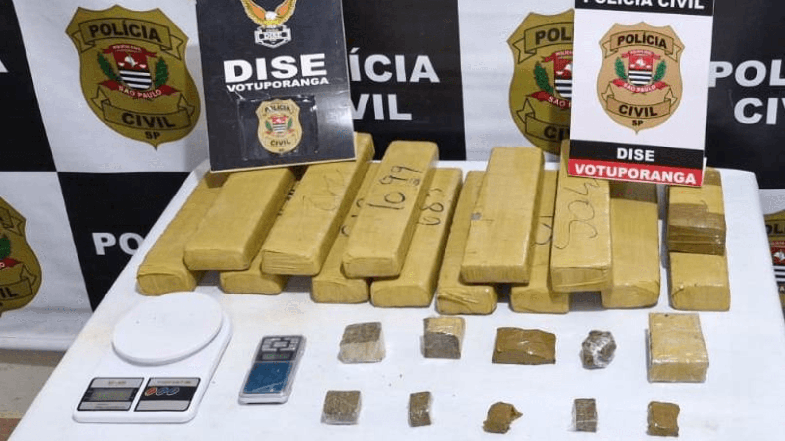 Polícia Civil prende homem com 12 tijolos de maconha em Votuporanga