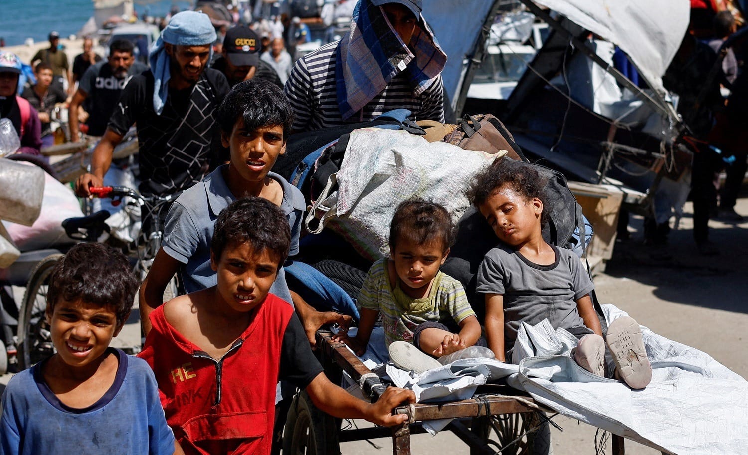 Palestina, Gaza e Ucrânia nos 80 anos da Assembleia Geral da ONU
