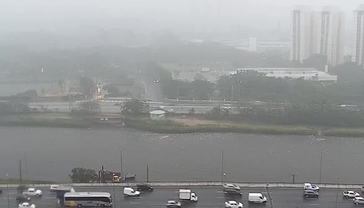 Alerta severo, feridos e 900 mil sem luz: chuvas causam caos em SP
