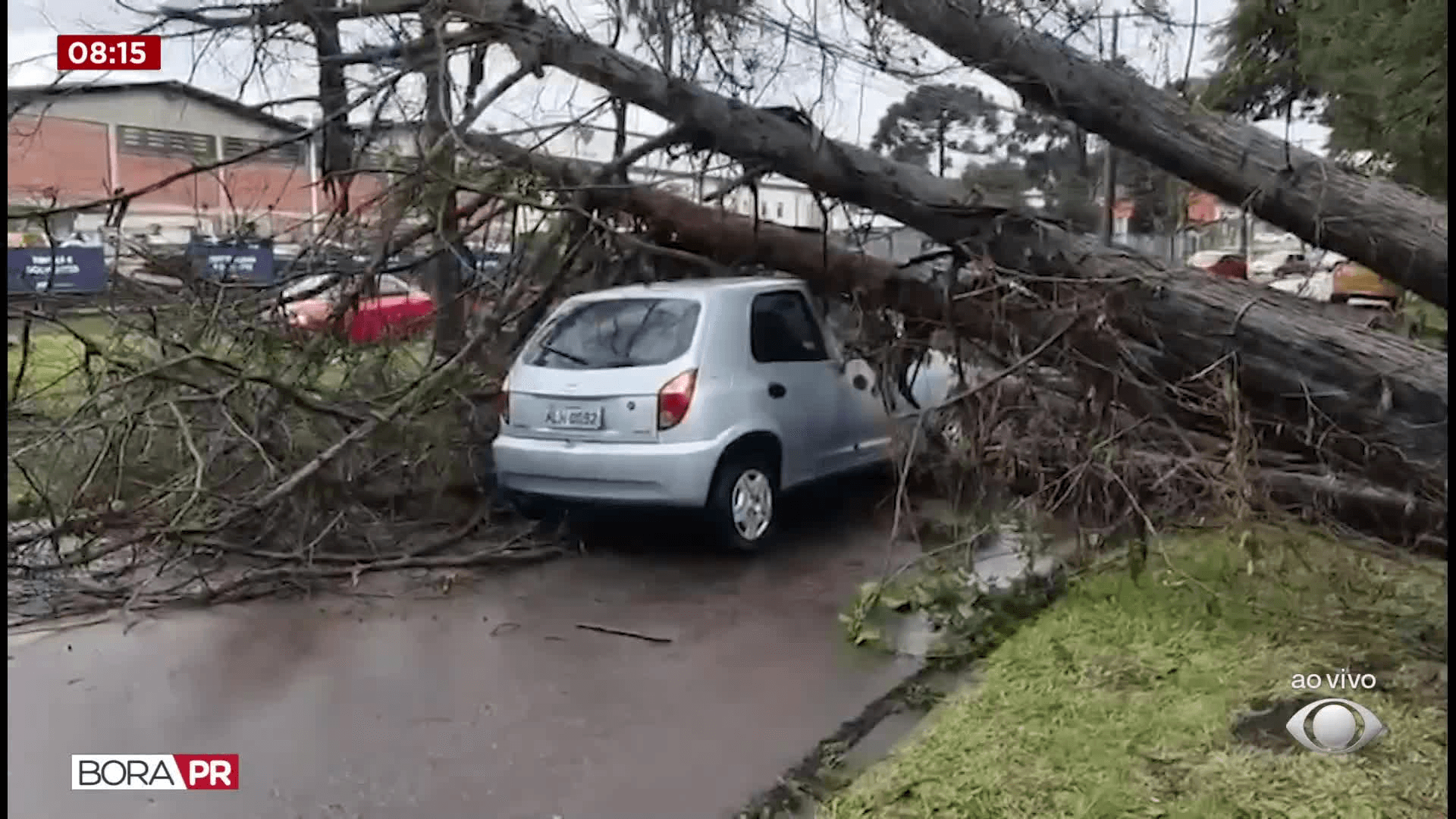 Árvore cai sobre carro durante temporal na Cidade Industrial de Curitiba