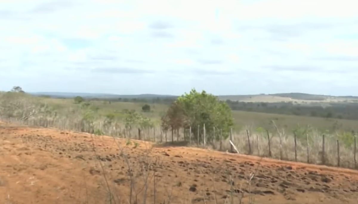 Centro-norte da Bahia enfrenta a pior seca dos últimos 40 anos