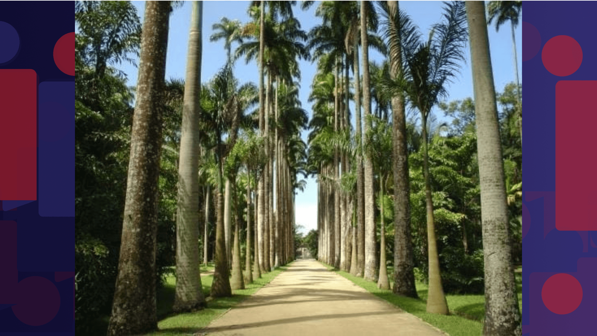 Jardim Botânico recebe rocha de 700 kg do Monte Tai, na China