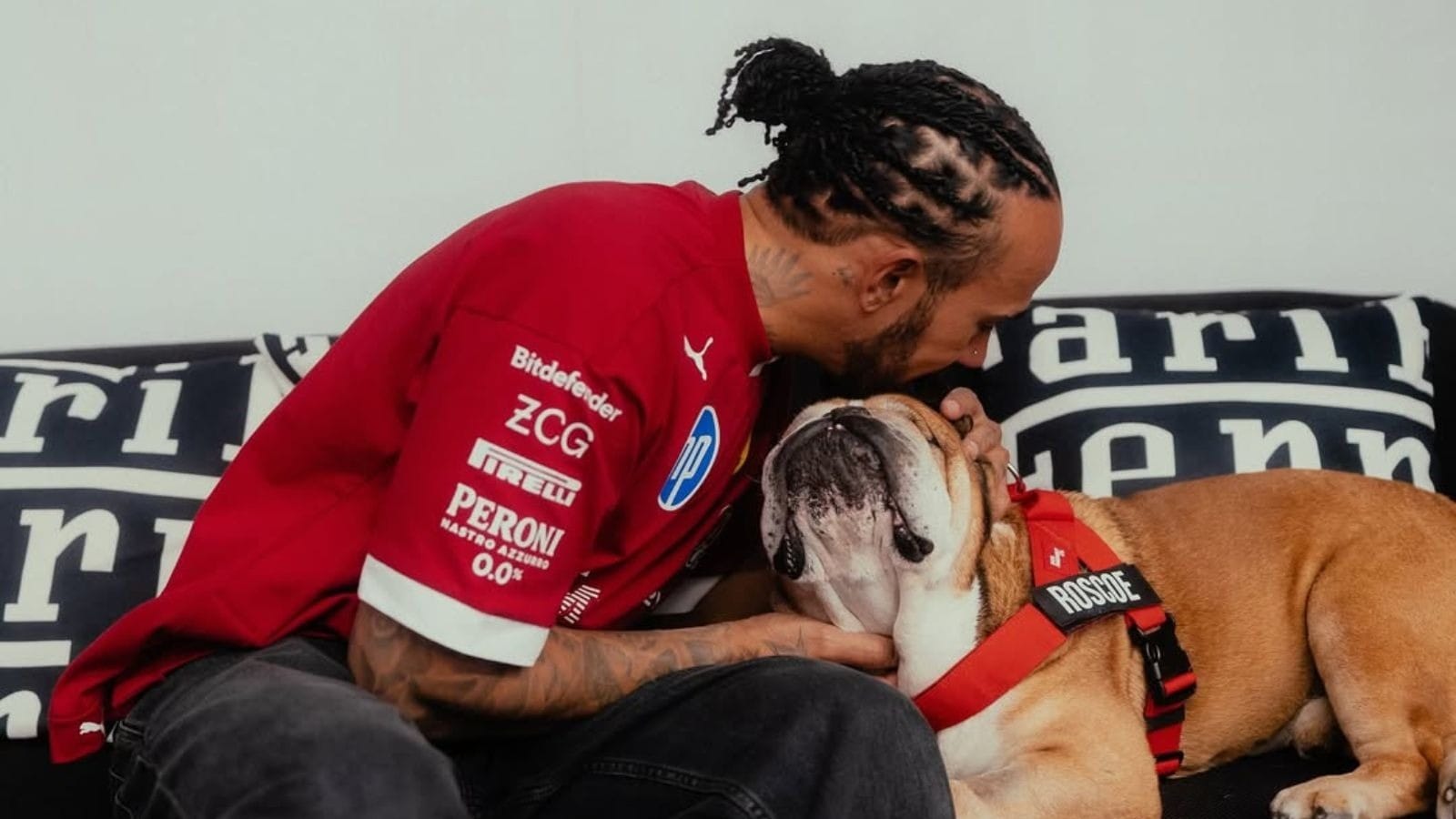 Hamilton revela que seu cachorro está em coma: "Mantenha o Roscoe nos seus pensamentos"