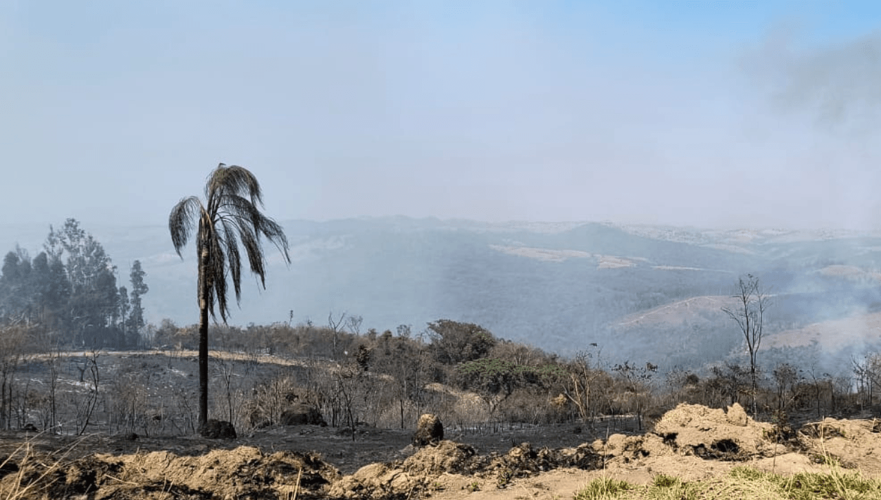 Incêndio destrói área de mata em Espírito Santo do Pinhal