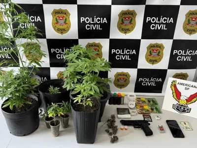 Homem é preso com 9 pés de maconha dentro de casa em Santa Bárbara d'Oeste