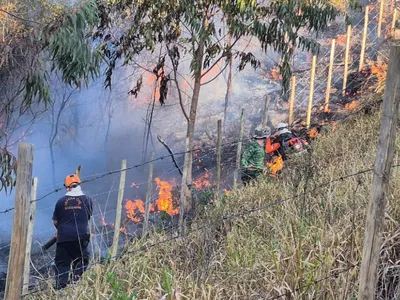 Queimadas em SP têm maior redução da história mesmo com seca extrema