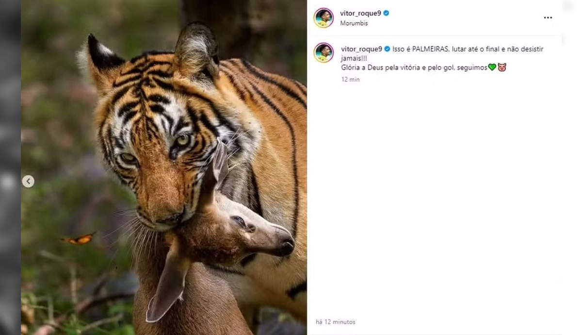Vitor Roque faz postagem homofóbica sobre São Paulo x Palmeiras e depois apaga imagem