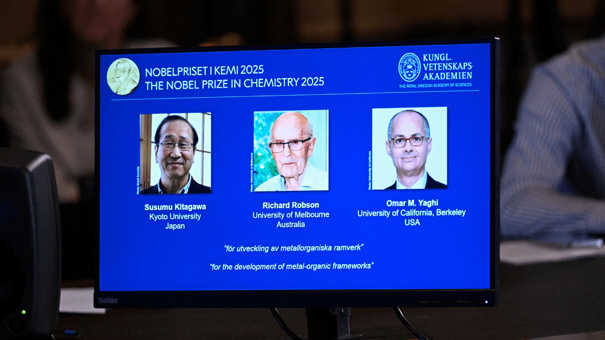 Nobel de Química premia estrutura comparada com ‘bolsa da Hermione’, de Harry Potter; entenda
