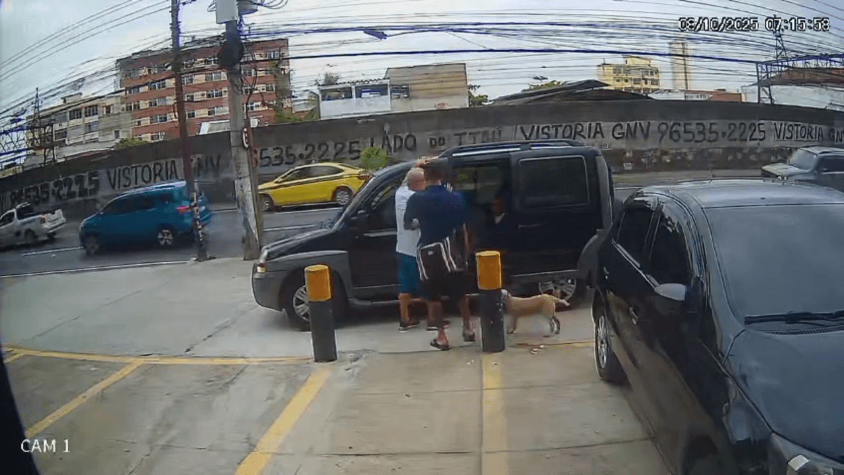 Criminoso assalta motorista no Méier enquanto segura cachorro vira-lata caramelo