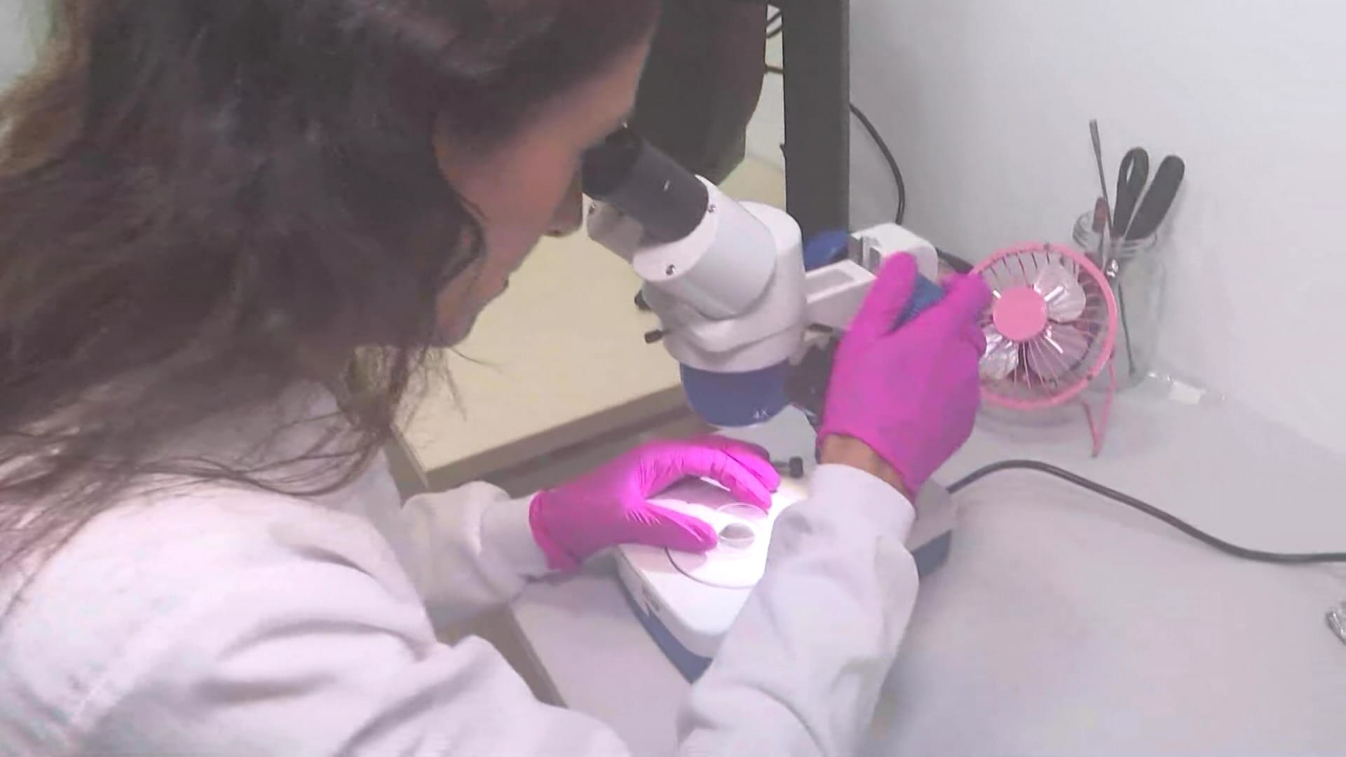 Estudo mostra que 70% das praias brasileiras estão contaminadas por microplásticos