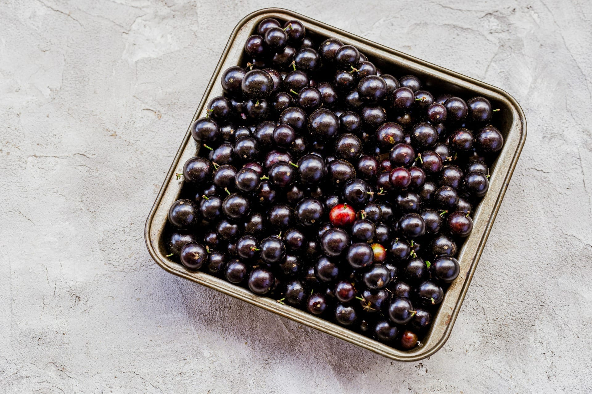 Jabuticaba estraga rápido? Veja truques para conservar a fruta por meses