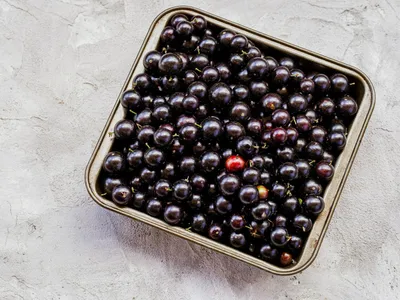 Jabuticaba estraga rápido? Veja truques para conservar a fruta por meses