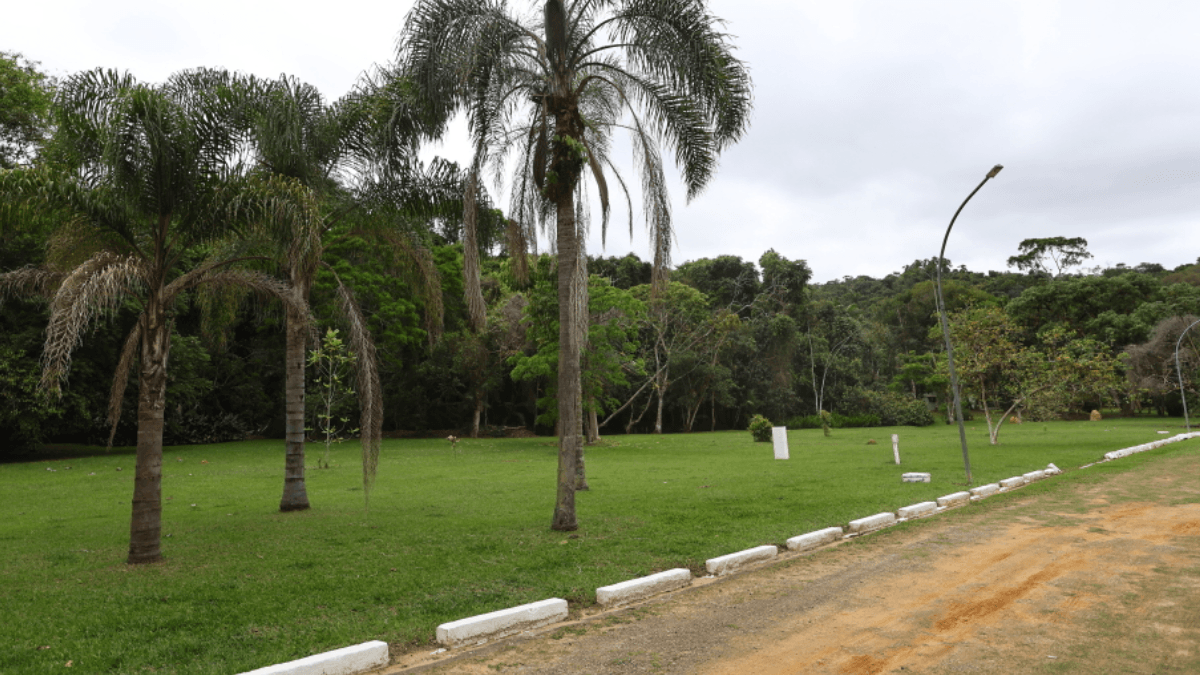 Prefeitura de São José dos Campos abre consulta para concessão do Parque Augusto Ruschi