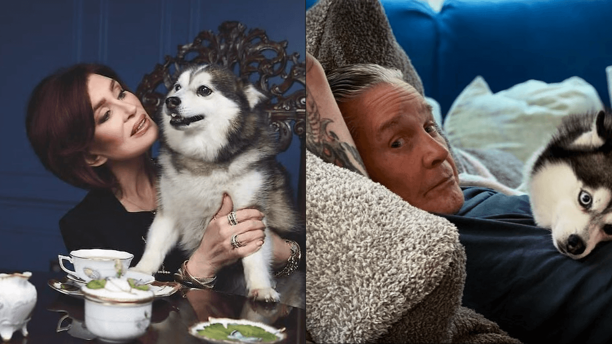 Sharon Osbourne lamenta morte de cachorro da família de Ozzy: "Descanse em paz meu menino"